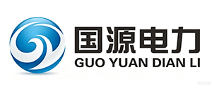 国源电力
